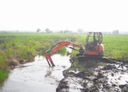 Gerak Cepat Mentan Amran Antisipasi Dampak Elnino dan Menekan Impor