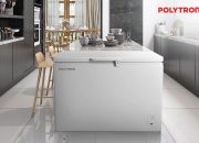 Bisnis Frozen Food: Menjelajahi Peluang dengan Chest Freezer POLYTRON