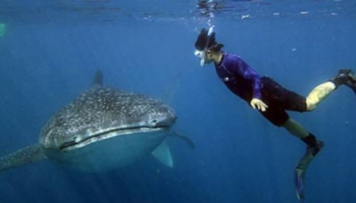 Mengintip Keindahan Wisata Bahari Teluk Saleh