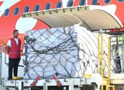 Hamdalah, Bantuan Indonesia untuk Palestina Tiba di Mesir