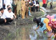 Mentan Libatkan Anak Muda dan Penyuluh Untuk Optimalkan Lahan Rawa