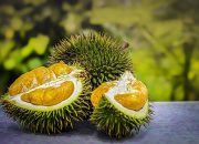 Waspada! Ini Sederet Efek Samping Konsumsi Durian