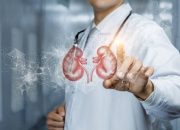 Waspada! Ini Minuman yang Dapat Merusak Fungsi Ginjal