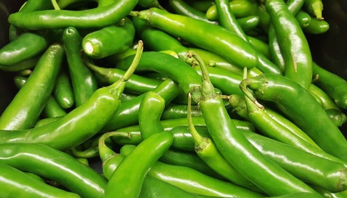 Banyak Yang Belum Tahu, Berikut 10 Khasiat Konsumsi Cabai Hijau