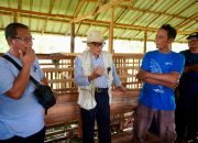 Kementan Apresiasi Pengembangan Bisnis Ternak KUB di Palangkaraya