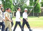 Presiden Ajak Petani, Penyuluh, Babinsa Tingkatkan Produktivitas