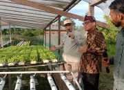 Wamentan Akan Terus Tingkatkan SDM untuk Akselerasi Sektor Pertanian di Sorong