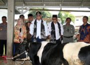 Wamentan Minta Pasuruan Tingkatkan Populasi Sapi Perah lewat KUD