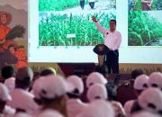 Cetak Sawah Baru dan Optimalkan Lahan Rawa, Ini Strategi Mentan