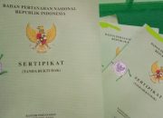 Sertifikat Tanah Hilang? Berikut Mudah Cara Mengurusnya
