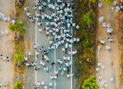 Membeludak! 100 Ribu Penonton Saksikan Batfest 2023