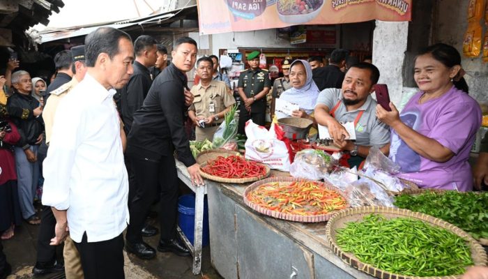 Presiden Cek Harga Bahan Pokok di Pasar Mungkid Magelang