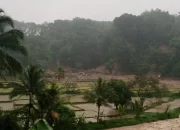 Tanah Longsor di Subang, Seorang Warga Meninggal