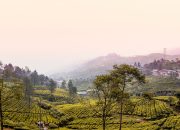 Ingin Wisata di Alam? Nih Rekomendasi Glamping di Bogor