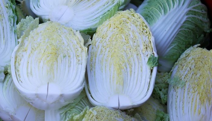 Wajib Tahu! Ini Manfaat Makan Sawi Putih bagi Kesehatan