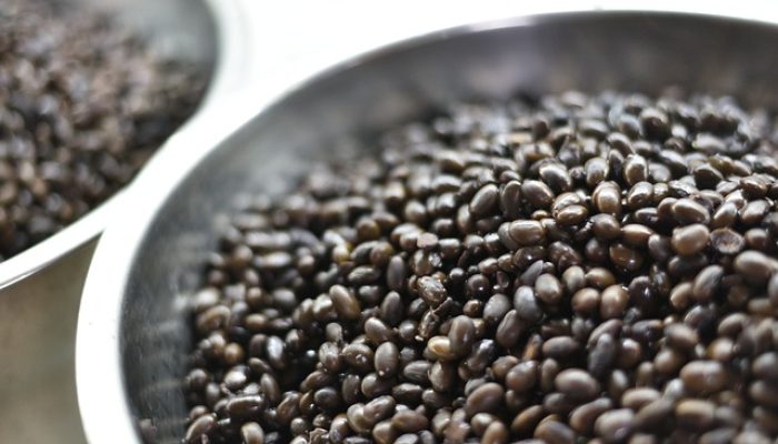 Baik Untuk Kesehatan, Ini Khasiat Mengkonsumsi Kedelai Hitam