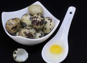 Wajib Tahu! Ini Sederet Manfaat Telur Puyuh bagi Kesehatan