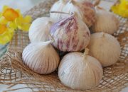 Wajib Tahu! Ini Khasiat Bawang Putih Tunggal bagi Kesehatan