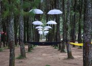 Liburan ke Banyuwangi? Berikut Lokasi yang Wajib Kamu Datangi untuk Beli Oleh-oleh