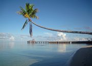 7 Fakta Wakatobi yang Wajib Kamu Ketahui