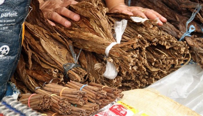 Bea Cukai Dorong Optimalisasi Pemanfaatan DBH CHT Tahun 2024