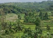 Poltekesos Dalami Adat Tradisi di Pasir Biru