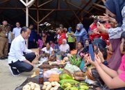 Presiden Tinjau Harga Bahan Pokok di Banggai Kepulauan