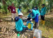 Tunjukkan Kualitas, Siswa SMKPP Kementan Raih Kompetensi Bidang Pertanian