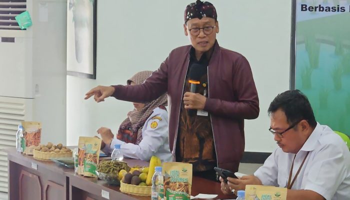 Optimalkan Lahan Rawa, Kementan Siap Dukung Dongkrak Produksi Padi dan Jagung di Kalsel