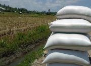 Stok Beras Jateng untuk Ramadan dan Idulfitri Aman