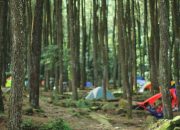 Suaka Elang Loji: Destinasi Wisata dan Edukasi yang Memukau