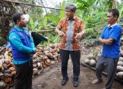 Lombok Jadi Center of Excellence Hilirisasi Kelapa