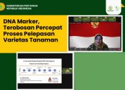 Percepat Proses Pelepasan Varietas Tanaman dengan DNA Marker
