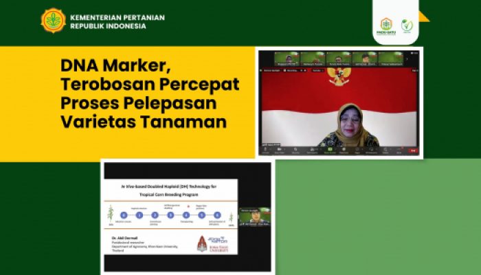 Percepat Proses Pelepasan Varietas Tanaman dengan DNA Marker