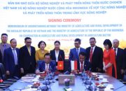 Pemerintah Indonesia dan Vietnam Sepakat Kerjasama Teknologi Lahan Rawa