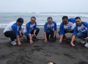 ACC Dukung Konservasi Penyu di Bali, Gelar Pembinaan dan Sarana Edukasi