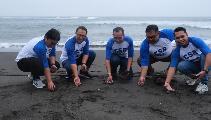 ACC Dukung Konservasi Penyu di Bali, Gelar Pembinaan dan Sarana Edukasi