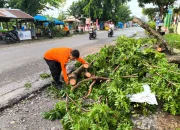 Angin Puting Beliung Terjang Deli Serdang, Dua Orang Meninggal Dunia