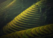 Mengintip Sistem Subak, Warisan Budaya Dunia yang Menjadi Daya Tarik Wisata