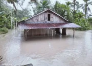 Kabupaten Nias Barat Diterjang Banjir dan Tanah Longsor
