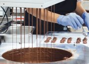 Tingkatkan Produktivitas Kakao, Asosiasi Industri Apresiasi Pemerintah