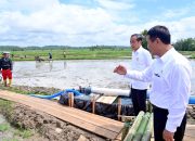 Presiden Tinjau Pelaksanaan Bantuan Pompa Irigasi di Sulsel