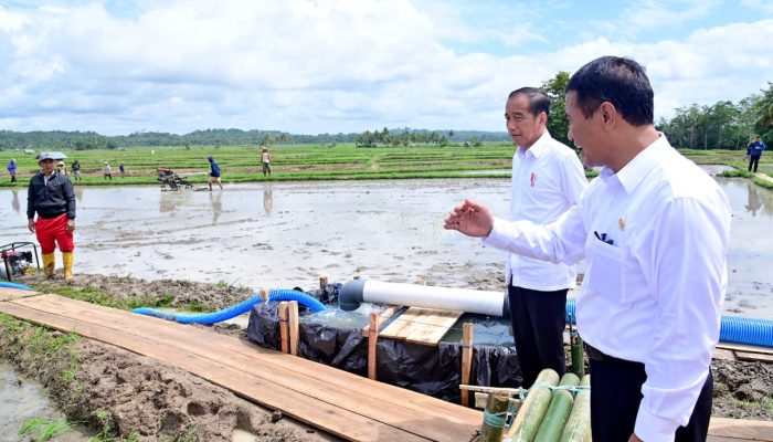 Presiden Tinjau Pelaksanaan Bantuan Pompa Irigasi di Sulsel