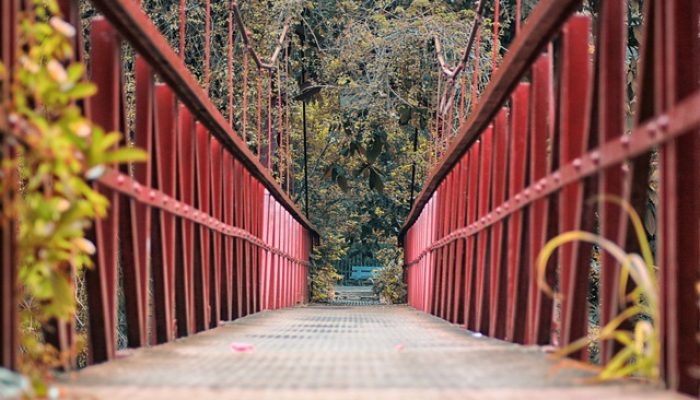 Cocok untuk Santai Sore, Berikut Destinasi Piknik di Indonesia