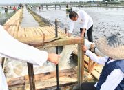 Dorong Produktivitas Pertanian, Jokowi Tinjau Pompanisasi di Lampung Selatan