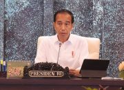 Jokowi: Investasi IKN Tembus Rp56,2 Triliun