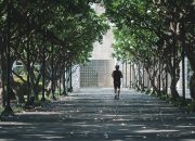 Wajib Tahu! 5 Manfaat Jalan Kaki untuk Kesehatan Jantung