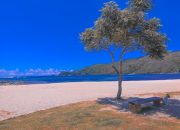 Bau Nyale, Cikal Bakal Lahirnya Kawasan Mandalika