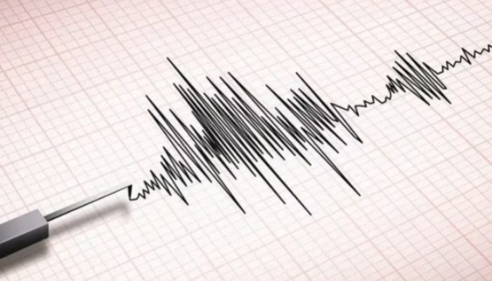 Gempa Bumi M6.6 Guncang Kabupaten Sarmi, Puluhan Bangunan Rusak