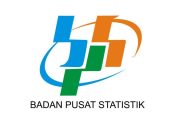 Wamenkeu: BPS Berperan Penting dalam Pengambilan Keputusan Berbasis Data